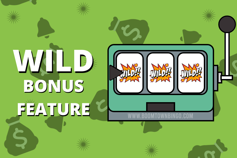 Wild Bonus Feature