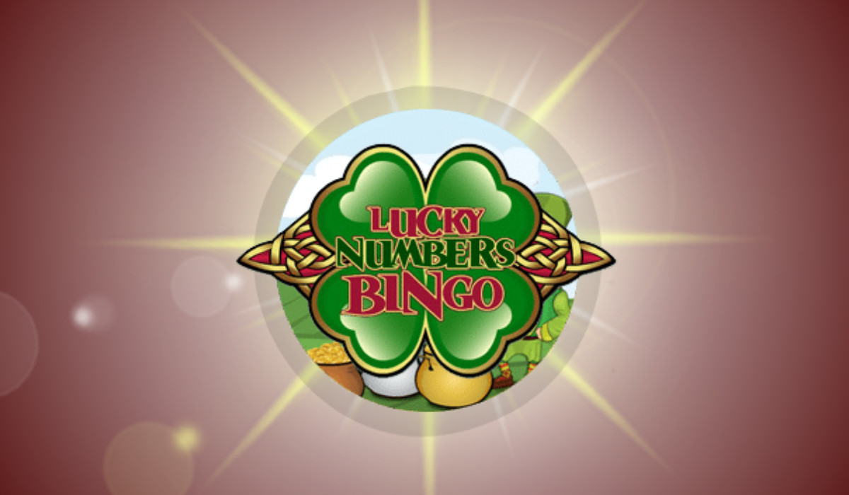 What is the best bingo site What is the best bingo site