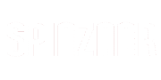 Spinzaar Logo