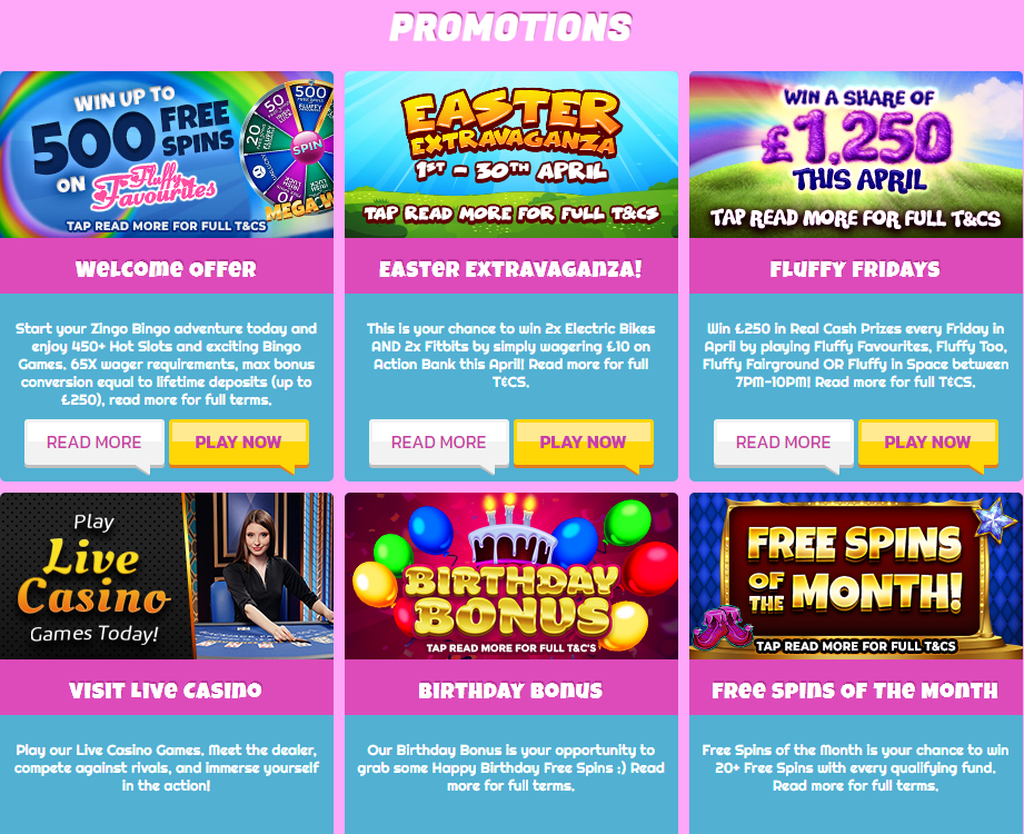 Zingo Bingo Offers