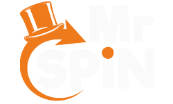 Mr Spin Logo 2021