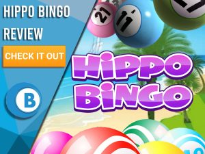 Background of beach with big bingo balls and Hippo Bingo logo. Blue/white square with text to left "Hippo Bingo Review", CTA below and Boomtown Bingo logo beneath that.