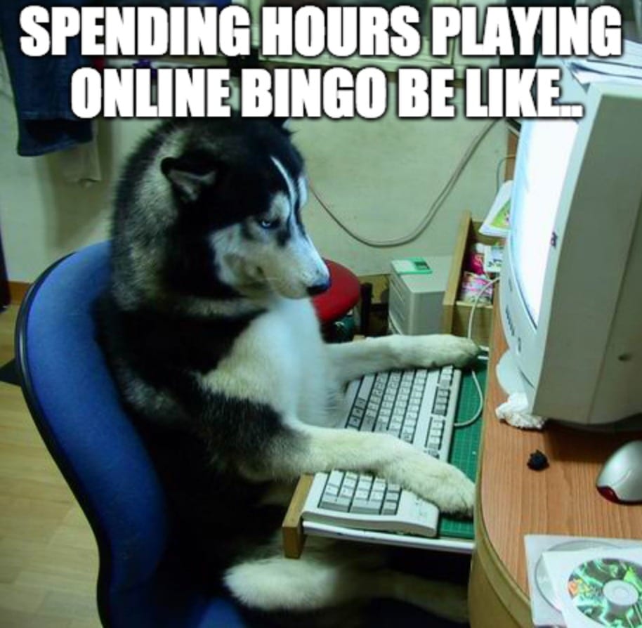 Online Bingo Dog