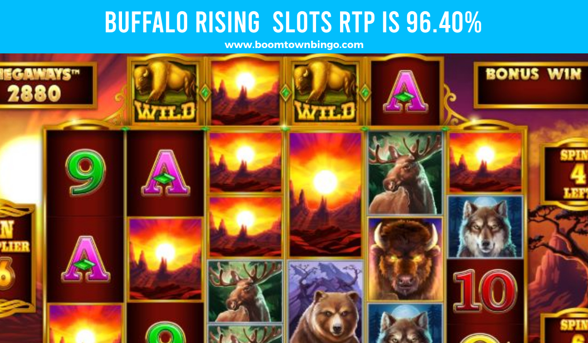 Buffalo Rising Slots Return to player