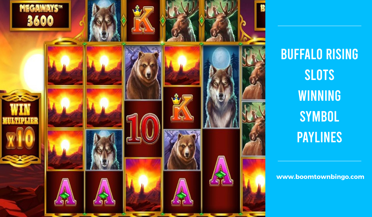 Buffalo Rising Slots Symbol winning Paylines