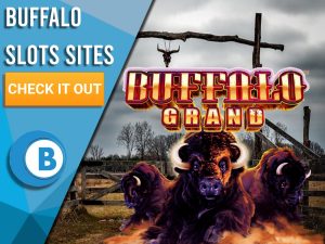 Texas Ranch Background with Buffalo's running with Buffalo Slots Logo. Blue/white square with text "Buffalo Slots Sites", CTA below and BoomtownBingo logo beneath that.