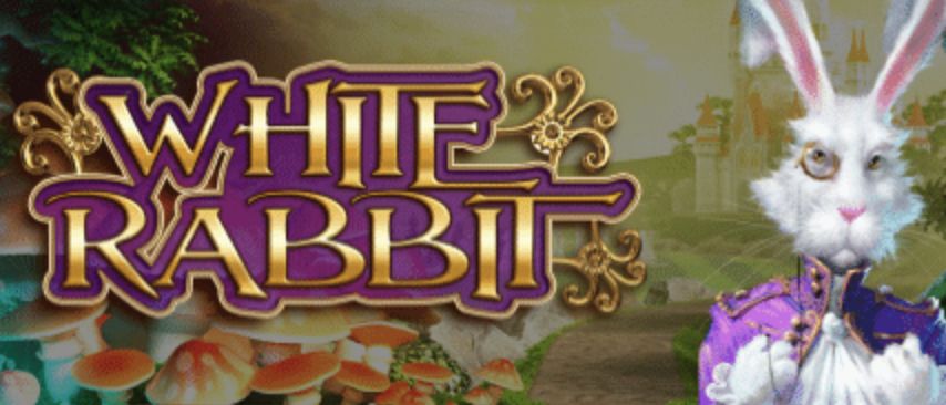 White Rabbit Slots Machine
