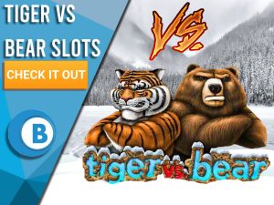 Background is snowing with logo for Tiger VS Bear and Vs symbol above it. Blue/white square with text "Tiger vs Bear Slots", CTA below it and BoomtownBingo logo under that.