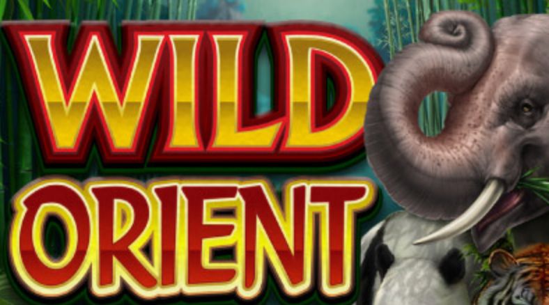 Wild Orient Slot Machine