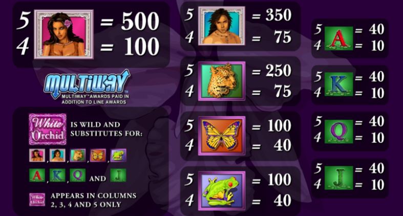 White Orchid Slot Machine pay table