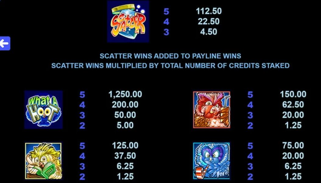 What A Hoot Slot Machine