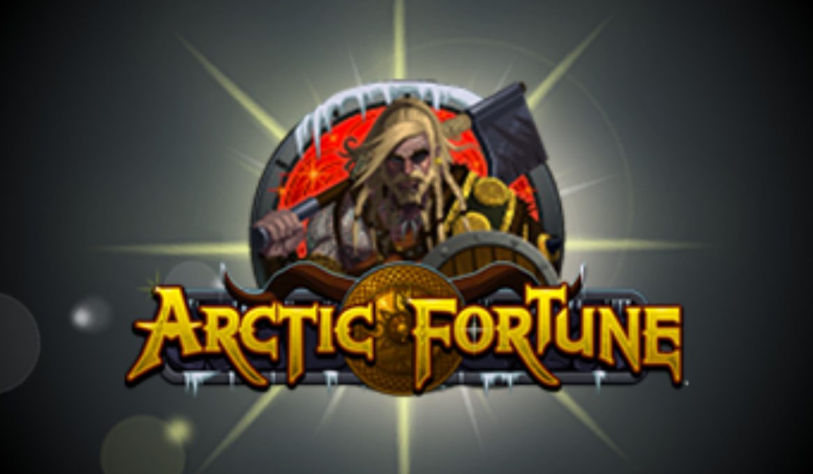 Arctic Fortune Slot