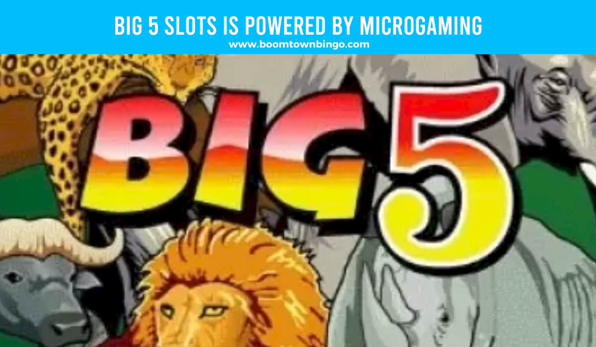 Big 5 Slots is made by Microgaming