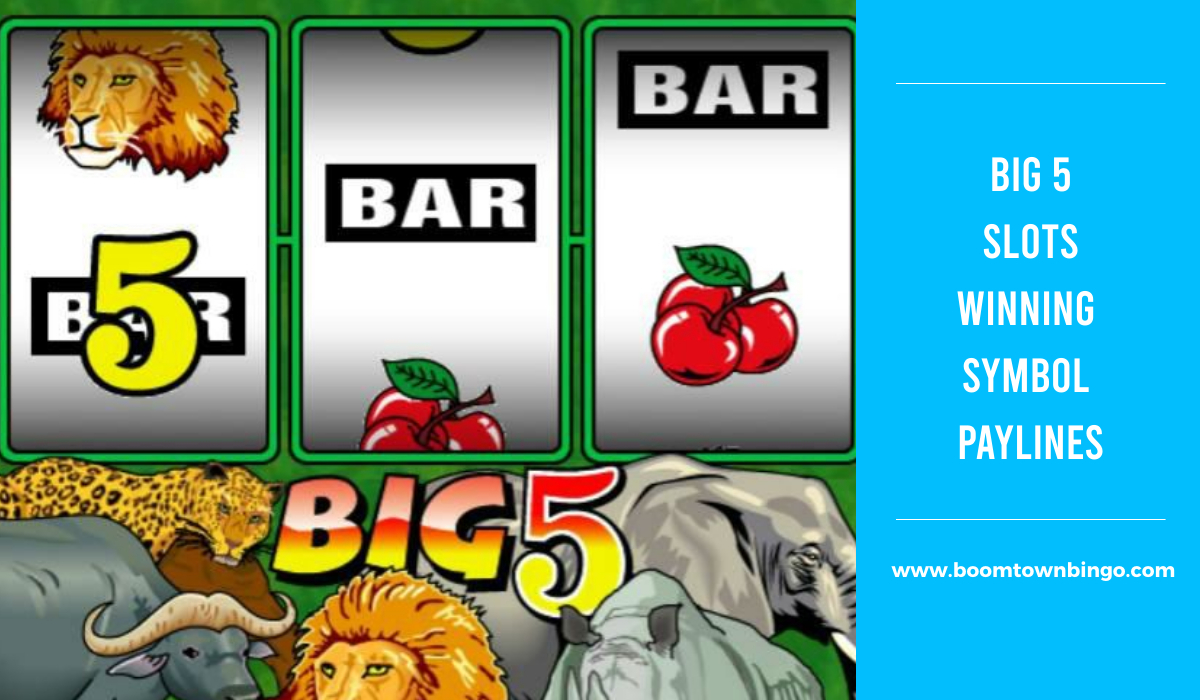 Big 5 Slots Symbol winning Paylines