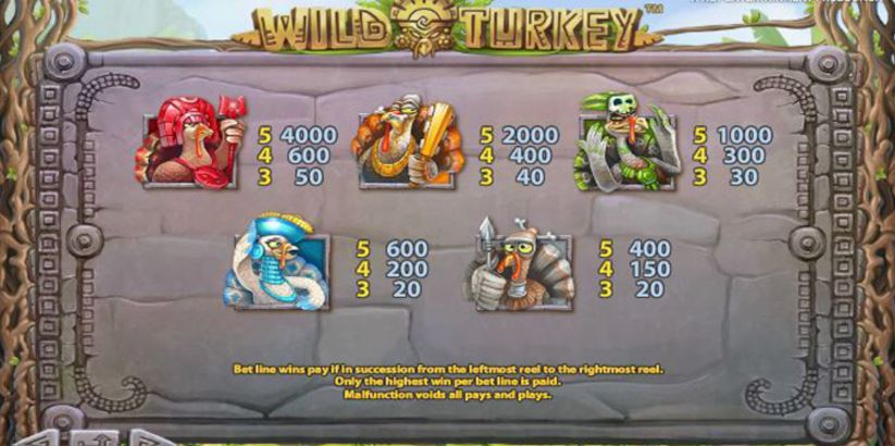 Wild Turkey Slot Machine pay table
