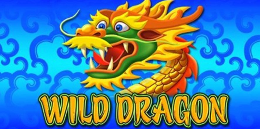 Wild Dragon Slots Machine