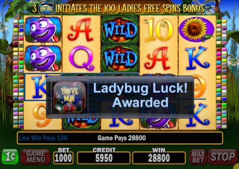 100 Ladies Slot Casino Game Ladybug Luck Awarded BIG WIN
