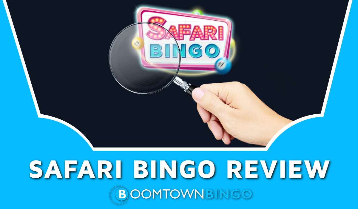 Safari Bingo Review