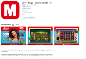 Mirror Bingo App Mobile Review