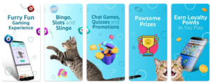Kitty Bingo Games on App
